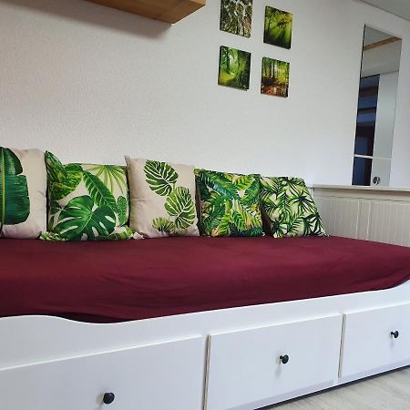 Apartment Happy Memories Titisee-Neustadt Zewnętrze zdjęcie