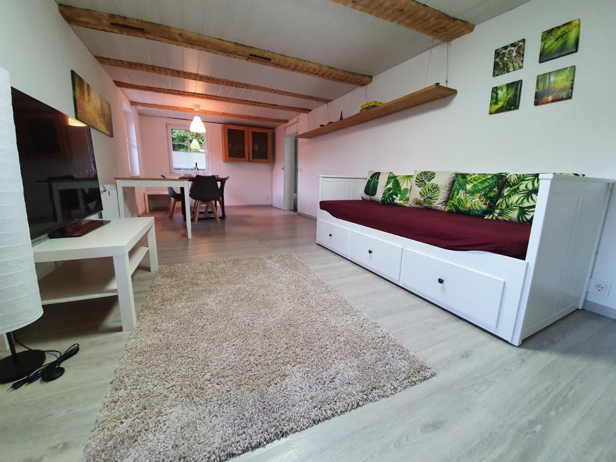 Apartment Happy Memories Titisee-Neustadt Zewnętrze zdjęcie